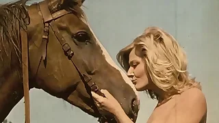 Porn Videos 17